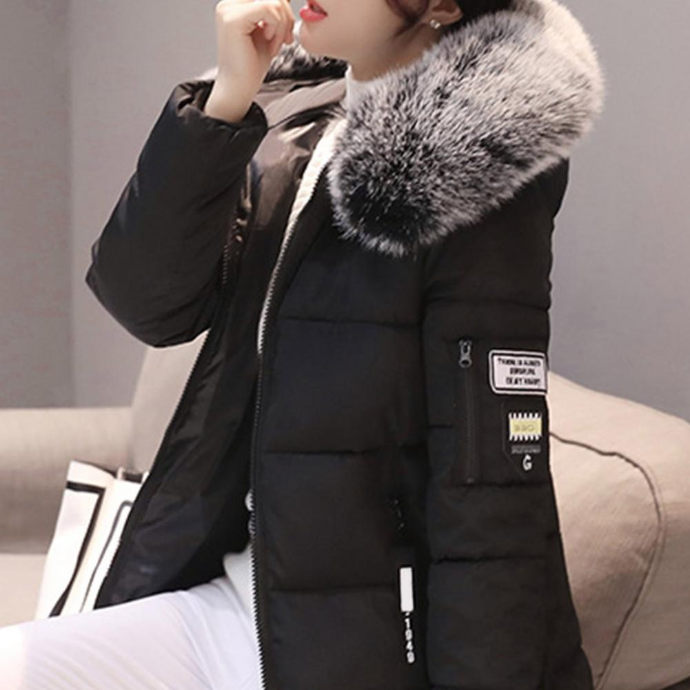 Windproof Cotton Winter Jacket for Women