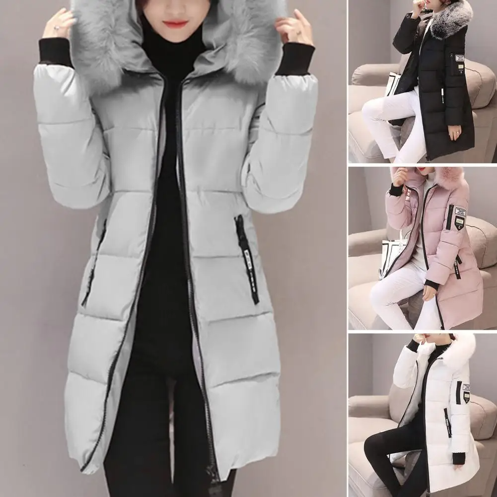 Windproof Cotton Winter Jacket for Women