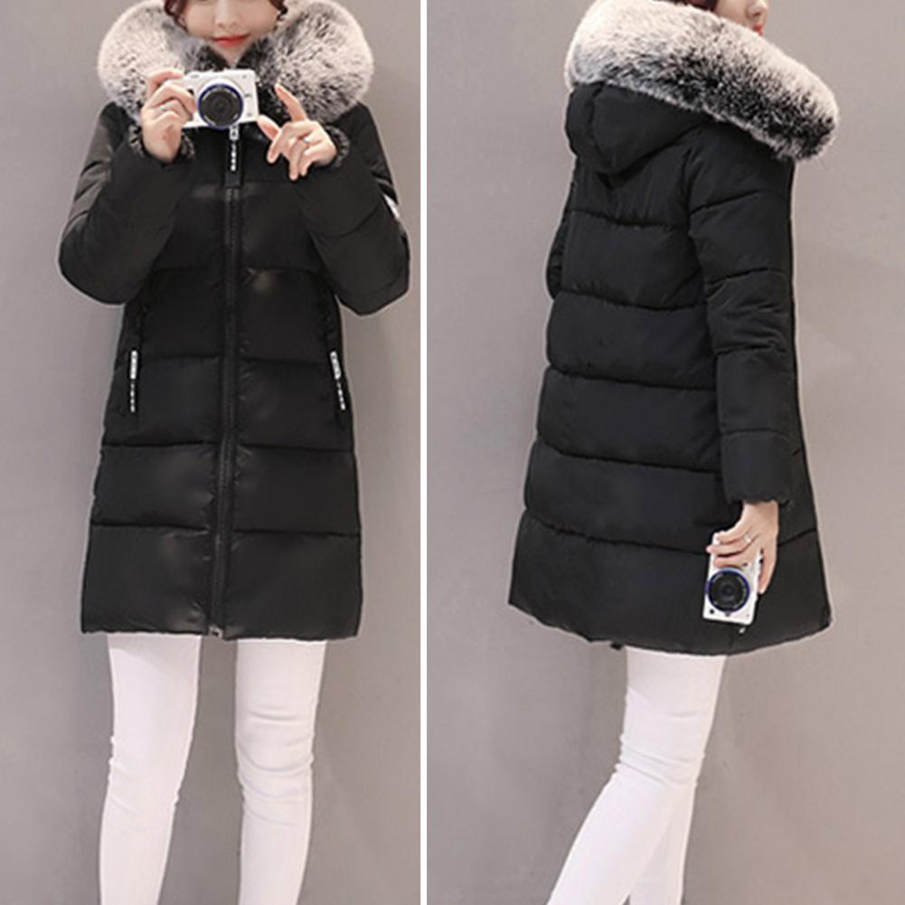 Windproof Cotton Winter Jacket for Women