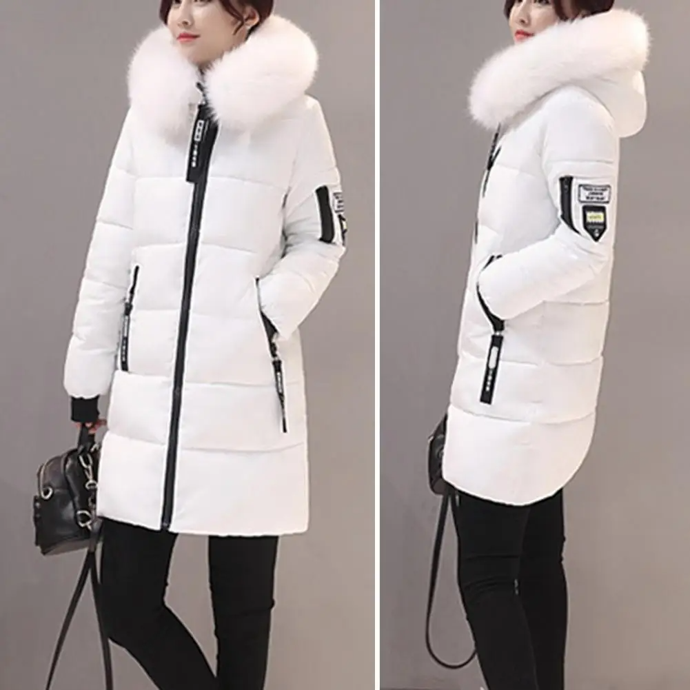 Windproof Cotton Winter Jacket for Women