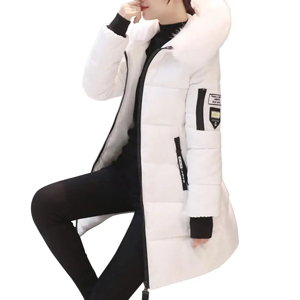 Windproof Cotton Winter Jacket for Women